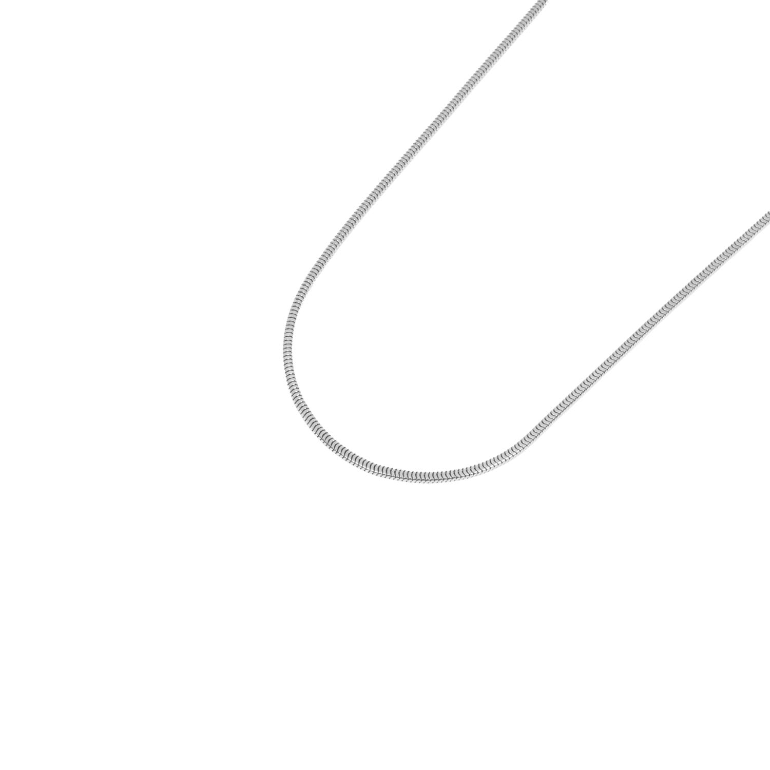 squaresnake-arg-1